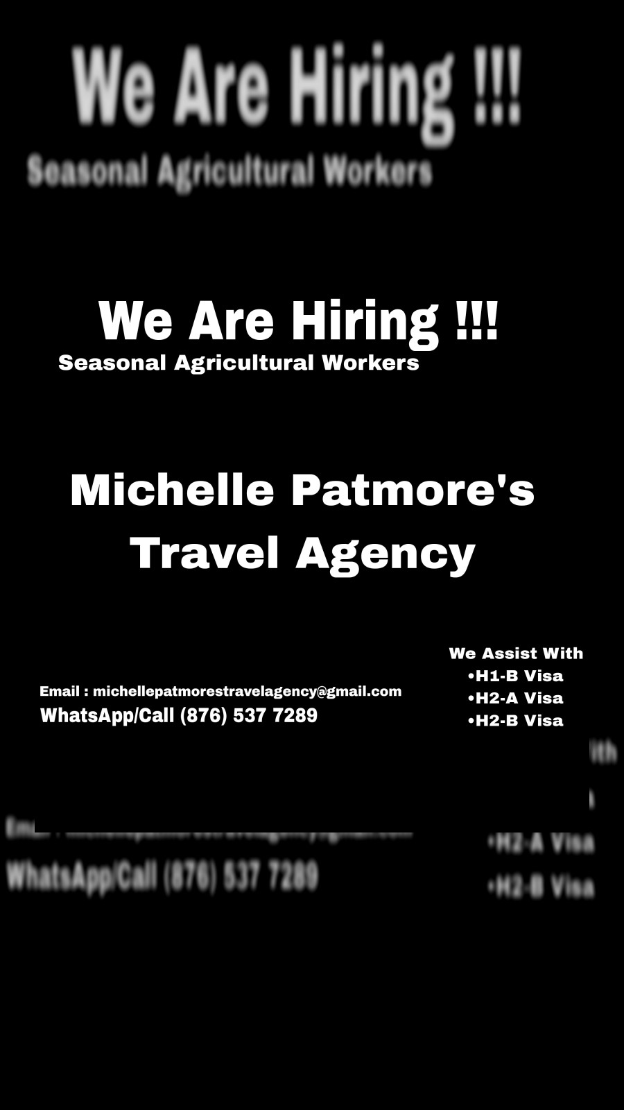 michelle patmore travel agency